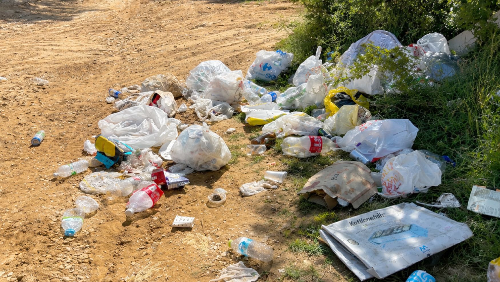Bolu'nun ciğerlerine çöp döktüler!
