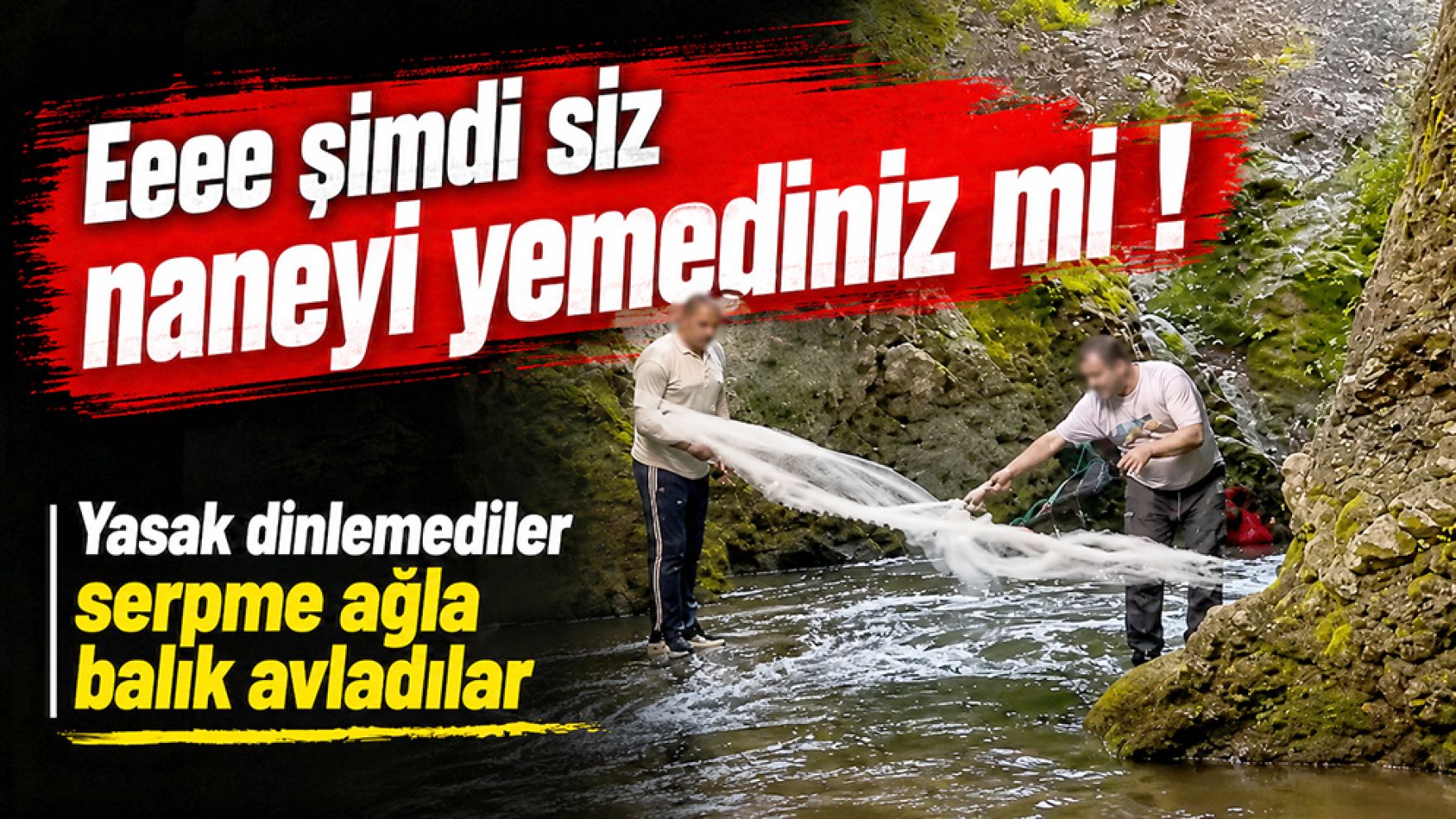 Yasak dinlemediler! Serpme ağla balık avladılar