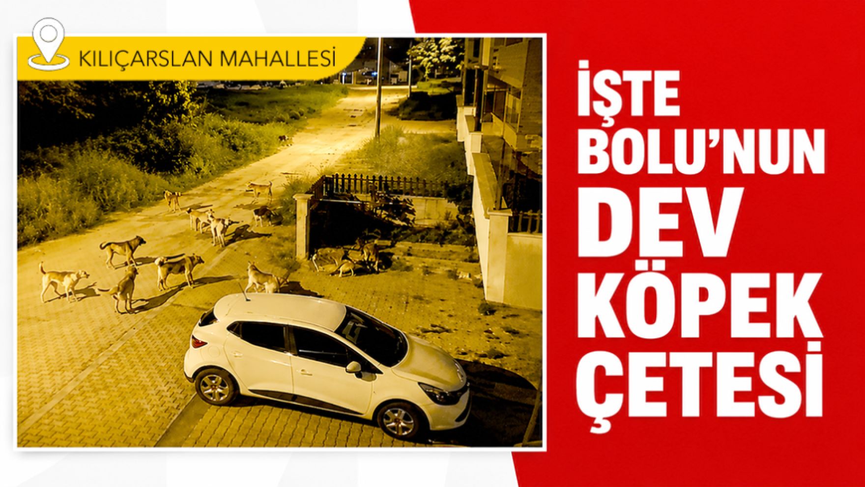 Kılıçarslan Mahallesi'nde başıboş köpek alarmı
