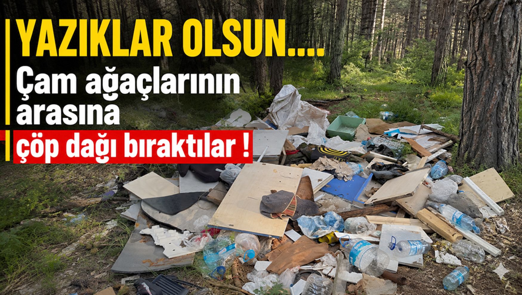 Ormana çöp değil, vicdansızlık döktüler!