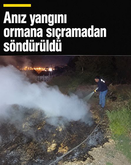 Anız yangını ormana ulaşmadan söndürüldü