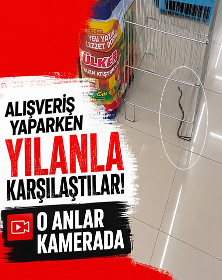 Markette yılan paniği! Alışveriş yaparken karşılarında görünce şaşkına döndüler