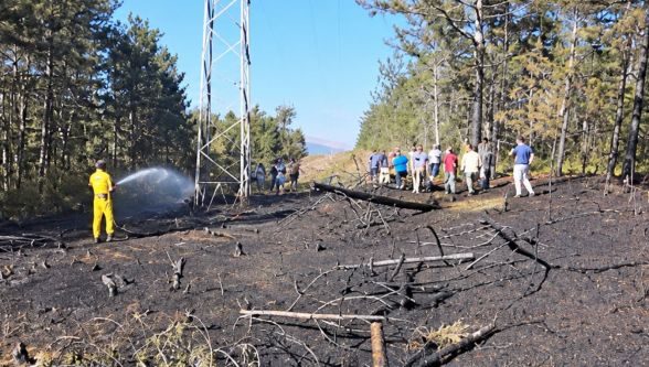 Bolu'da yangının nedeni şaşırttı: Elektrik hattına konan kuş alevlere neden oldu
