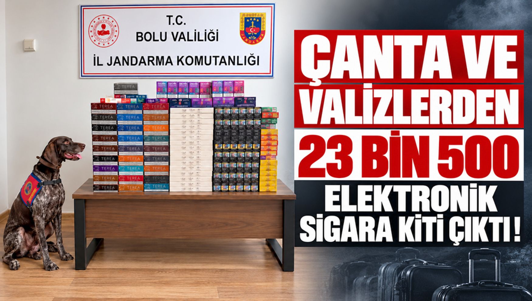 Bolu'da otobüsteki çanta ve valizlerden kaçakçılık çıktı: 760 bin liralık ürün ele geçirildi