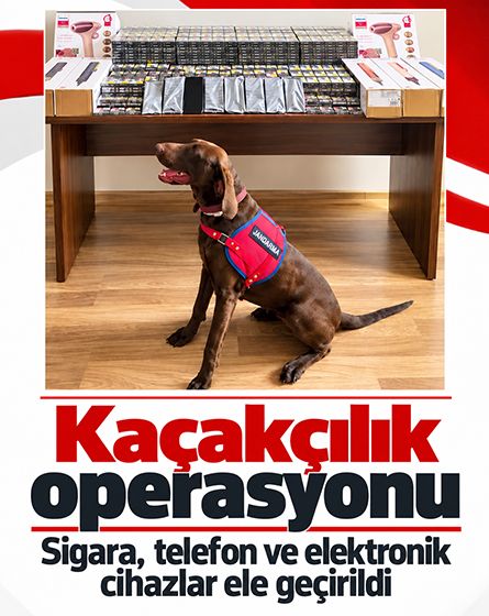 Bolu'da otobüse kaçakçılık operasyonu: 450 bin liralık ürün ele geçirildi