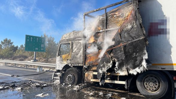 Bolu'da kargo yüklü TIR alev alev yandı