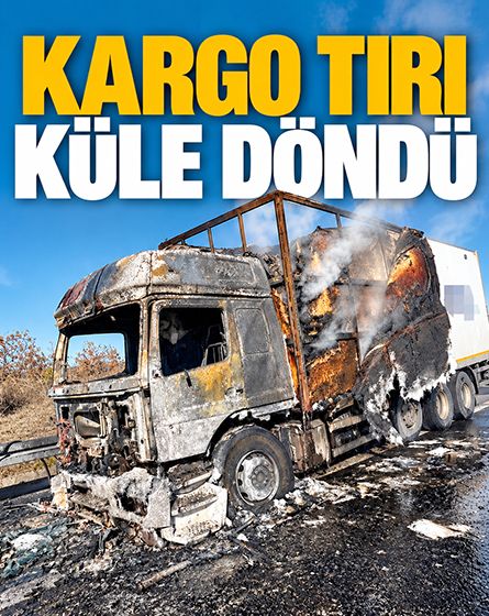 Bolu'da kargo yüklü TIR alev alev yandı